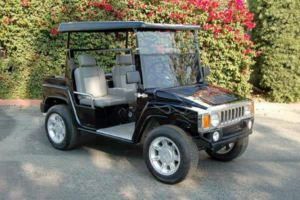 affordable golf cart rental, golf cart rent ponte vedra